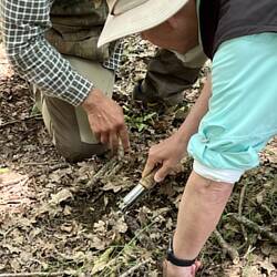 Me Digging for My Truffle