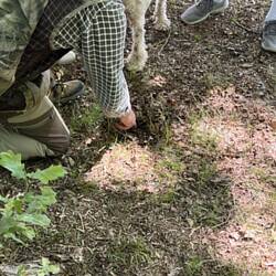 Finding the First Truffle