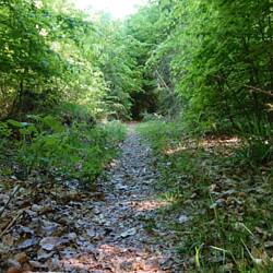 Und rein geht's ins dunkle Loch