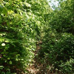 Na wo isser denn der Weg.