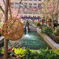 Rockefeller Center