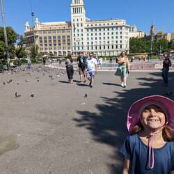 Placa de Catalunya (and pigeons)