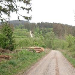 Da hinten geht's wieder rauf🥵