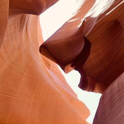 Un requin tout sourire