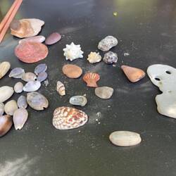 My haul of shells and rocks from my beach walk