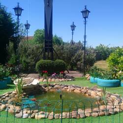 Wegen dem ⛲ muss man ständig aufs 🚽 😱🤪😂😂