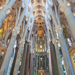 To support this weight, Gaudi created columns like branched trees made from strong minerals