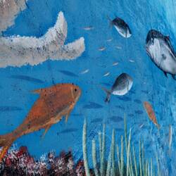 We saw a lot of marine life this dive 🤭!