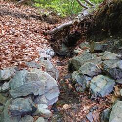Die Krodoquelle. Das Wasser kommt an dieser Stelle direkt aus dem Fels.