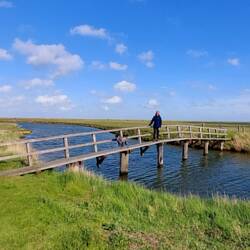 Wenige, aber schöne Brücken!