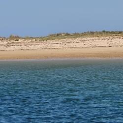 Der Strand von Armona