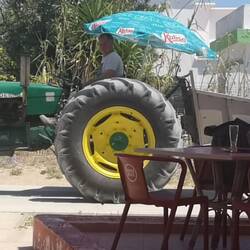 Das einzige Fahrzeug auf Armona