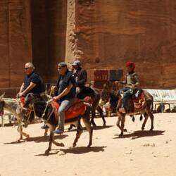 Plenty of activity - mules.....