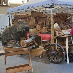 Markt in Enna. Käse und Wildschweinspezialitäten