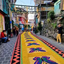 Wir bestaunen die Kunstwerke 🏵