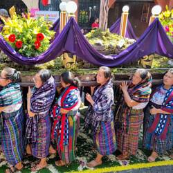 Kleiner Paso wird über die Blumenteppiche getragen