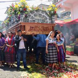 Die schönen Alfombras 😲