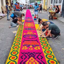Die Vorbereitung der Blumenteppiche läuft auf Hochtouren 🌺