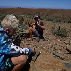 More paddy melon chopping