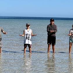 Catching Jellyfish - with Mitch and Ronnie
