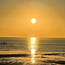 Sunset Swims 😍 Brax, Lachie, Louis, Eddie and Zac