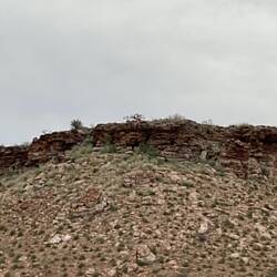 Why would anyone make a steel kangaroo sculpture and place it on a hill in the middle of absolutely