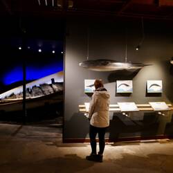 Húsavík's Whale Museum