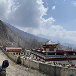 כמעט מגיעים לבוב מארלי