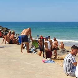 Experten für eh fast alls im Gespräch