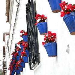 Marbella old town is so colorful and lush! 😍