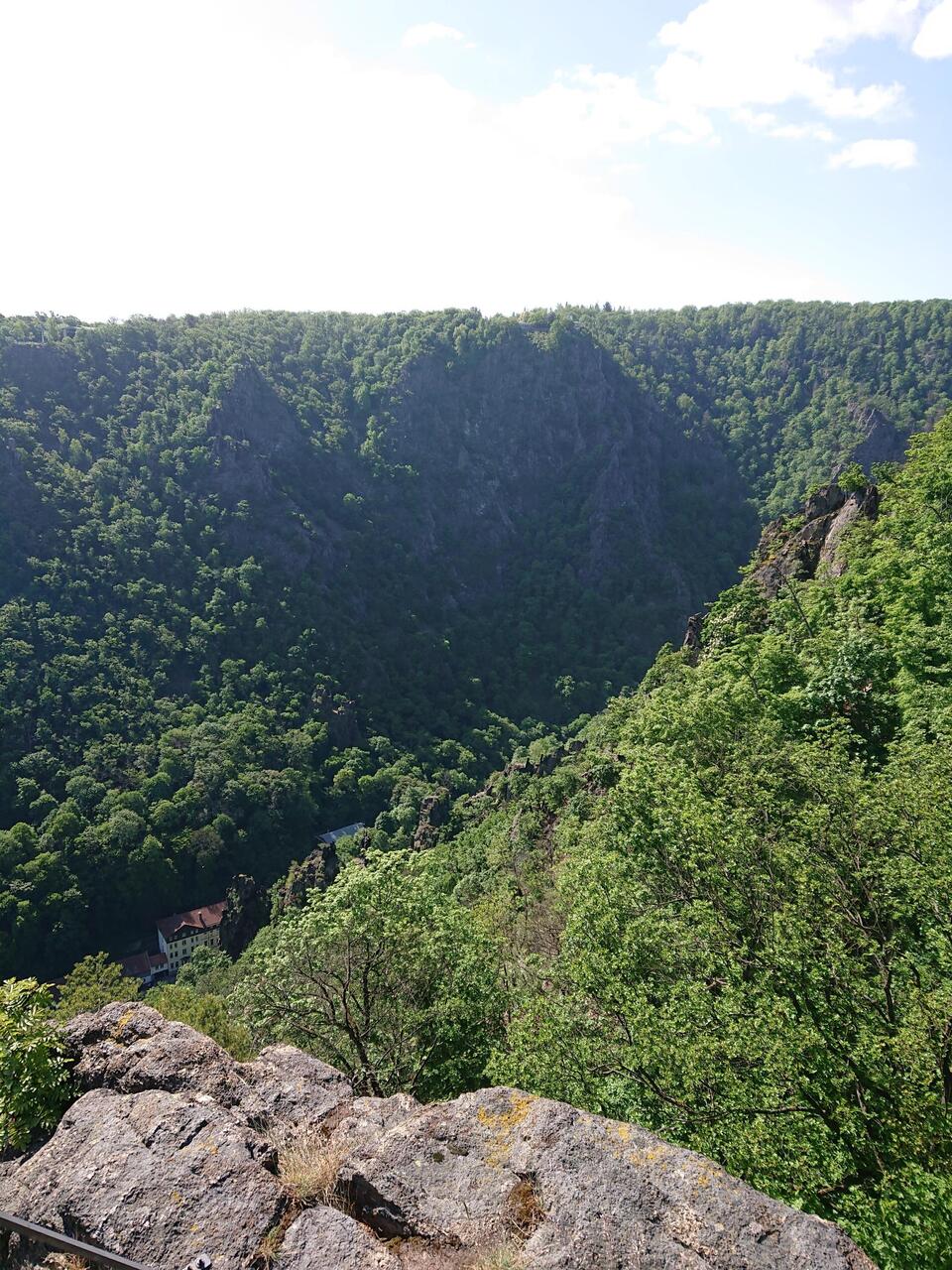 Blick in die Bodetalschlucht