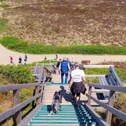 Blick von der Uwe-Düne!