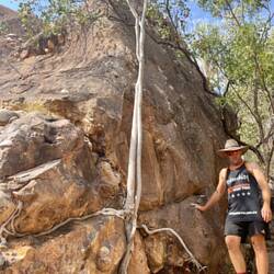 Walk to the Baruwei lookout - admiring many incredible survivor trees
