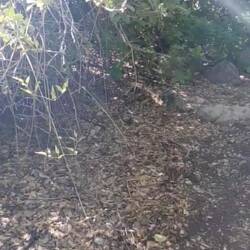 A la recherche du sentier