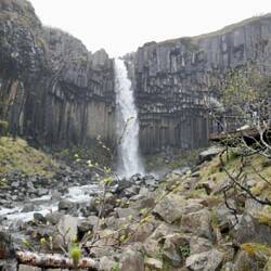 Svartifoss