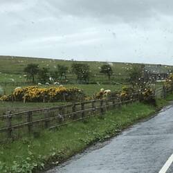 Scenery with raindrops on the windscreen