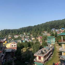 דרמקוט מהמלון שלנו