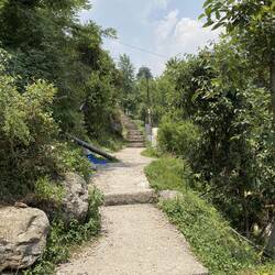 הדרך מבאגסו לדרמקוט או ממאיה לאופן הארט