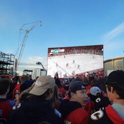 Calgary Flames Playoffs