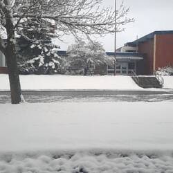 Erstmal Schnee