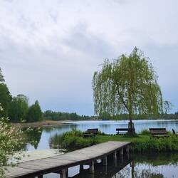 Karins Morgenrunde um den See.....