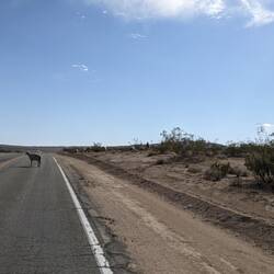 ... parfois il y a quelques obstacles ...