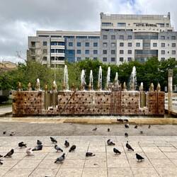 Martim Moniz Square