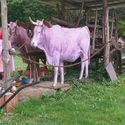 Ein Ort für die eine Stunde Cow - Boy 🤠