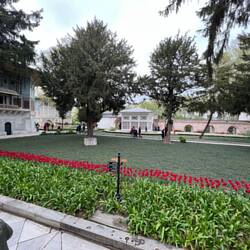 Fourth Courtyard. It was the Ottomans who brought tulips to Holland.