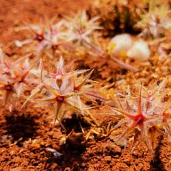 What a beauty 🤗🤗🤗!