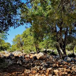 It is a pleasure, hiking alone through such an landscape!