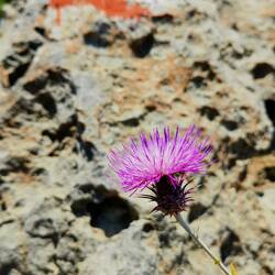 Lycia Yolu colors 😍😍😍!