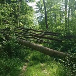 Das war noch einer der Harmlosen