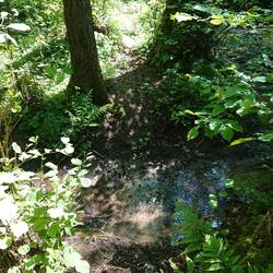 Wo ist denn die Brücke? 🤔 Aber geht auch ohne
